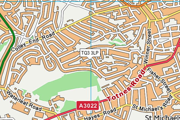 TQ3 3LP map - OS VectorMap District (Ordnance Survey)