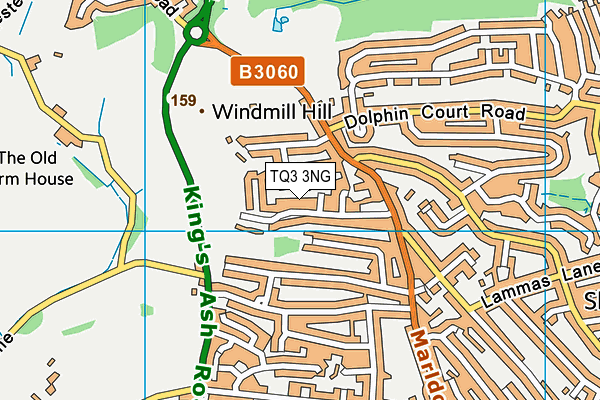 TQ3 3NG map - OS VectorMap District (Ordnance Survey)