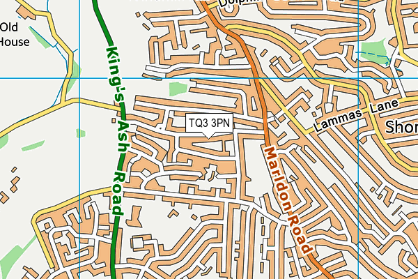 TQ3 3PN map - OS VectorMap District (Ordnance Survey)