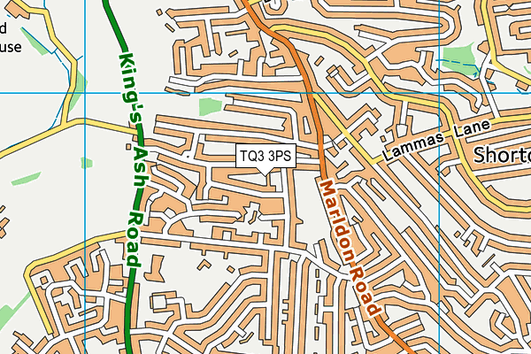 TQ3 3PS map - OS VectorMap District (Ordnance Survey)