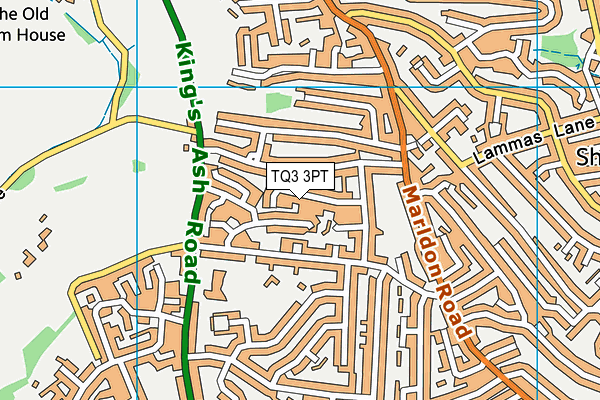 TQ3 3PT map - OS VectorMap District (Ordnance Survey)