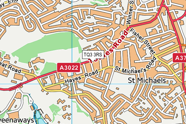 TQ3 3RS map - OS VectorMap District (Ordnance Survey)