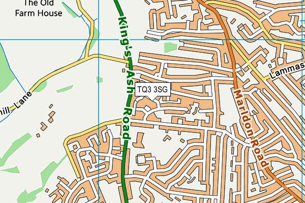 TQ3 3SG map - OS VectorMap District (Ordnance Survey)