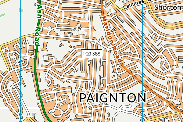 TQ3 3SS map - OS VectorMap District (Ordnance Survey)