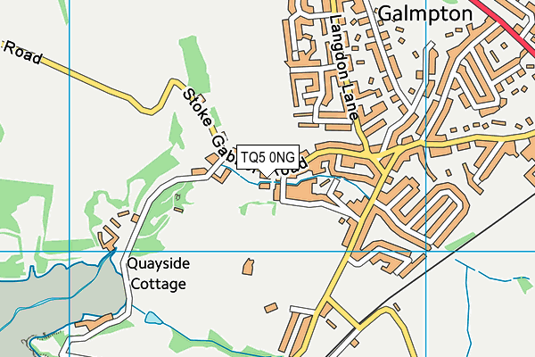 TQ5 0NG map - OS VectorMap District (Ordnance Survey)