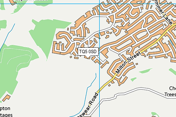 TQ5 0SD map - OS VectorMap District (Ordnance Survey)