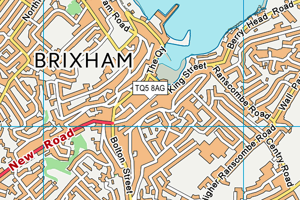 Map of THE OLD COACHING INN BRIXHAM LTD at district scale