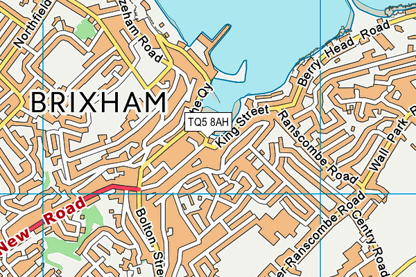 TQ5 8AH map - OS VectorMap District (Ordnance Survey)