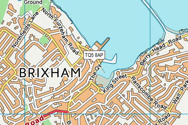 Map of BLUE CLOUD MANAGEMENT (BRIXHAM) LIMITED at district scale