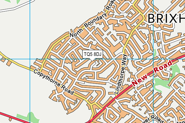 TQ5 8DJ map - OS VectorMap District (Ordnance Survey)