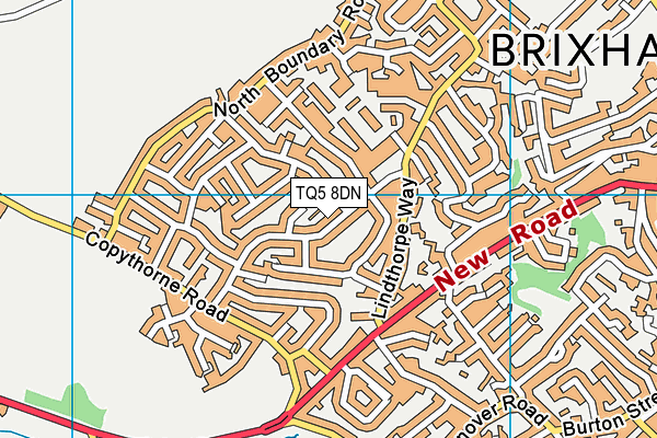 TQ5 8DN map - OS VectorMap District (Ordnance Survey)
