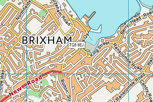 Map of BRIXHAM MAID LTD at district scale
