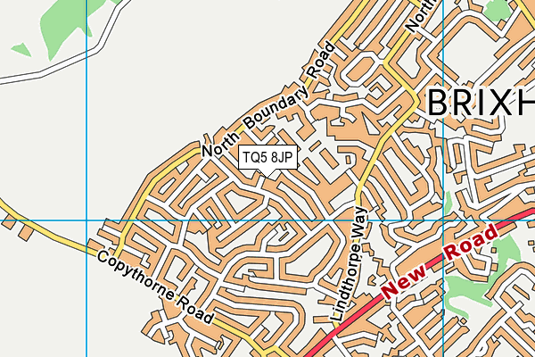 TQ5 8JP map - OS VectorMap District (Ordnance Survey)