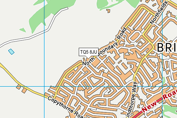TQ5 8JU map - OS VectorMap District (Ordnance Survey)