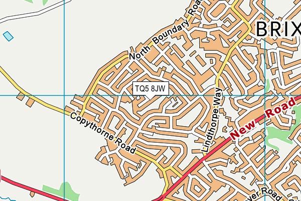 TQ5 8JW map - OS VectorMap District (Ordnance Survey)