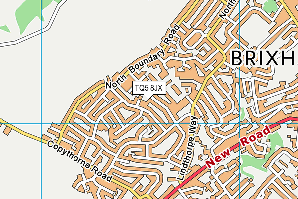 TQ5 8JX map - OS VectorMap District (Ordnance Survey)