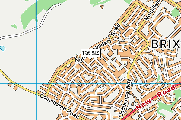 TQ5 8JZ map - OS VectorMap District (Ordnance Survey)