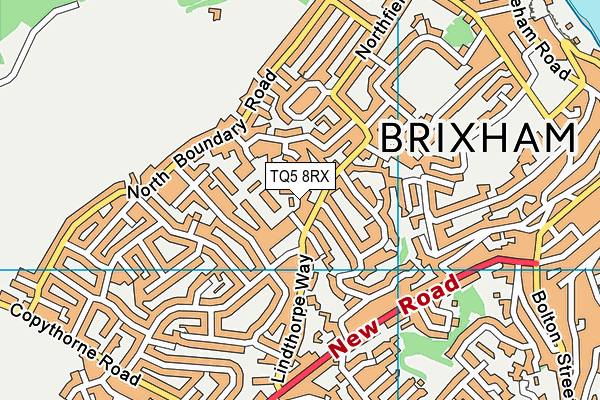 TQ5 8RX map - OS VectorMap District (Ordnance Survey)