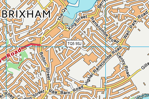 TQ5 9SJ map - OS VectorMap District (Ordnance Survey)