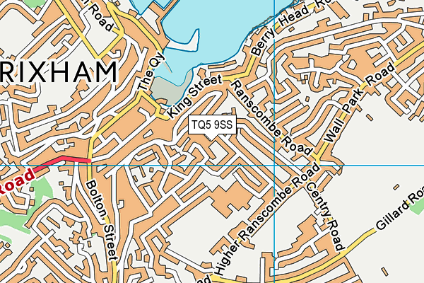 TQ5 9SS map - OS VectorMap District (Ordnance Survey)