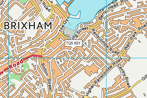 TQ5 9SY map - OS VectorMap District (Ordnance Survey)