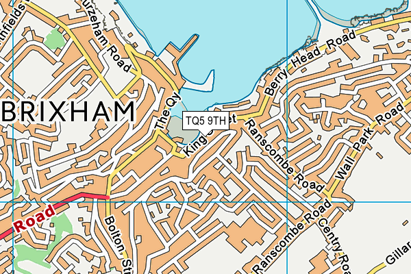 TQ5 9TH map - OS VectorMap District (Ordnance Survey)