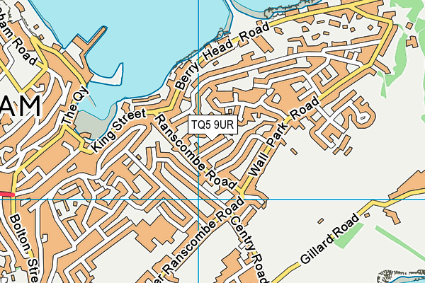 TQ5 9UR map - OS VectorMap District (Ordnance Survey)