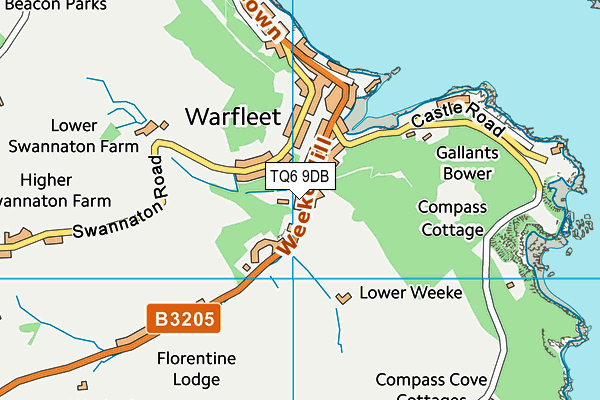 TQ6 9DB map - OS VectorMap District (Ordnance Survey)