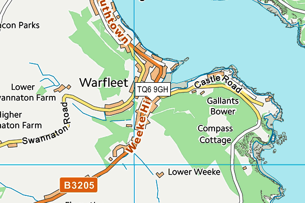 TQ6 9GH map - OS VectorMap District (Ordnance Survey)