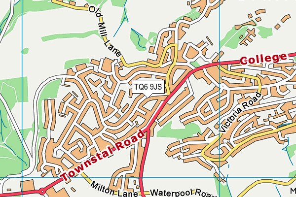 TQ6 9JS map - OS VectorMap District (Ordnance Survey)