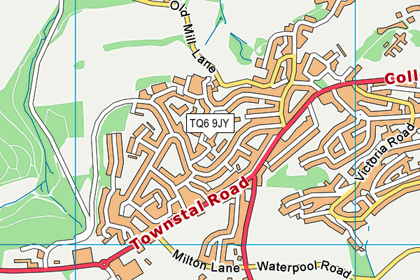 TQ6 9JY map - OS VectorMap District (Ordnance Survey)