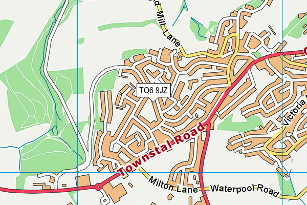 TQ6 9JZ map - OS VectorMap District (Ordnance Survey)