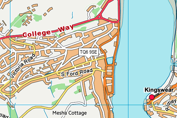 TQ6 9SE map - OS VectorMap District (Ordnance Survey)