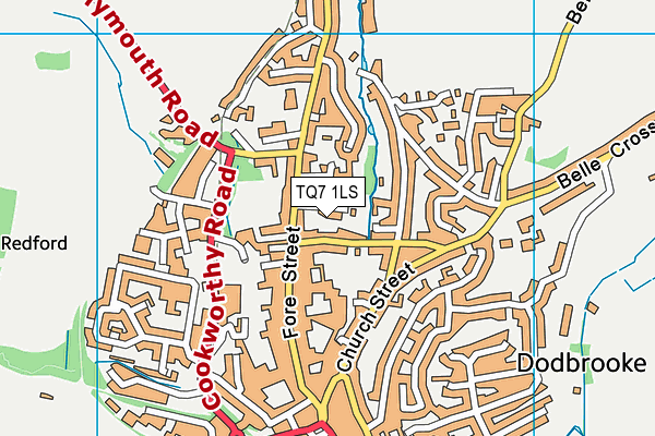 TQ7 1LS map - OS VectorMap District (Ordnance Survey)