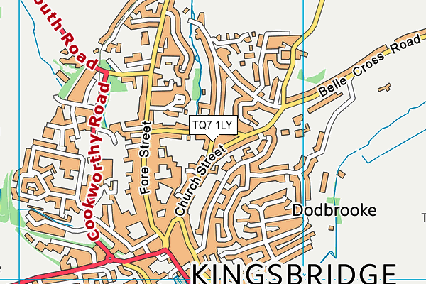 TQ7 1LY map - OS VectorMap District (Ordnance Survey)