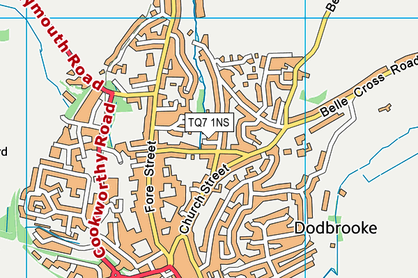 TQ7 1NS map - OS VectorMap District (Ordnance Survey)