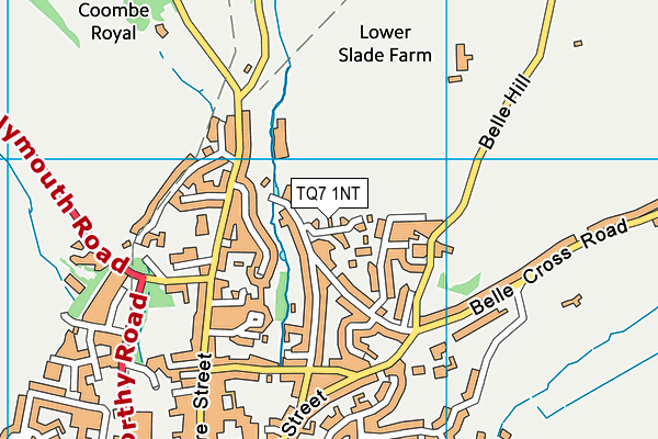 TQ7 1NT map - OS VectorMap District (Ordnance Survey)