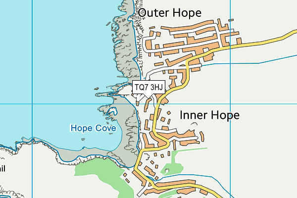 TQ7 3HJ map - OS VectorMap District (Ordnance Survey)