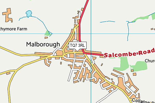 TQ7 3RL map - OS VectorMap District (Ordnance Survey)