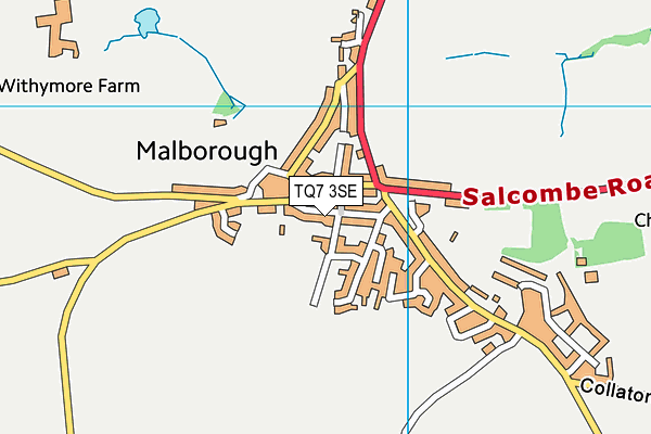 TQ7 3SE map - OS VectorMap District (Ordnance Survey)