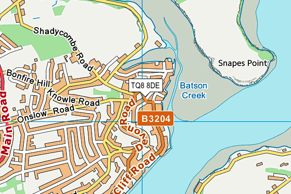 TQ8 8DE map - OS VectorMap District (Ordnance Survey)