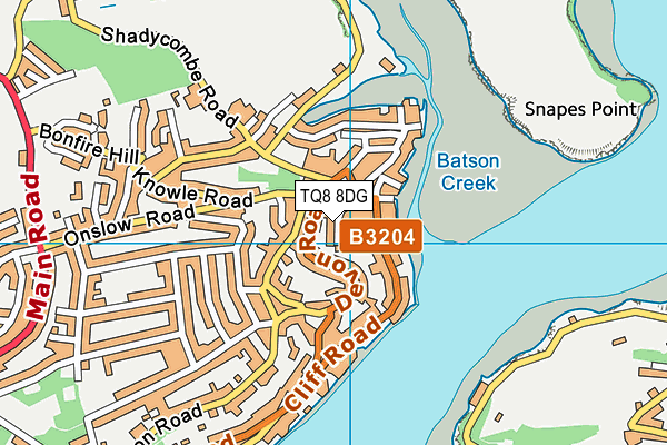 TQ8 8DG map - OS VectorMap District (Ordnance Survey)