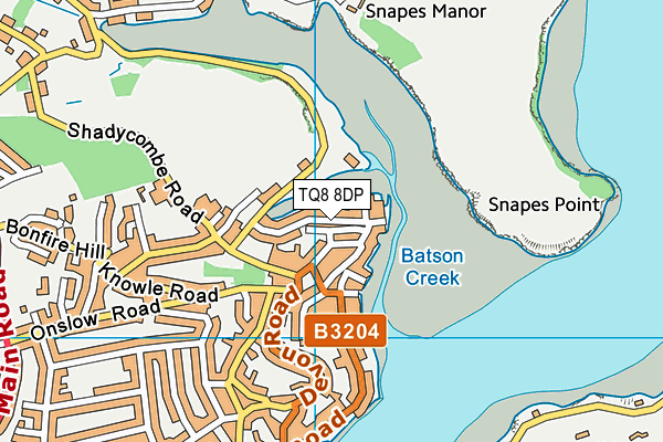 TQ8 8DP map - OS VectorMap District (Ordnance Survey)