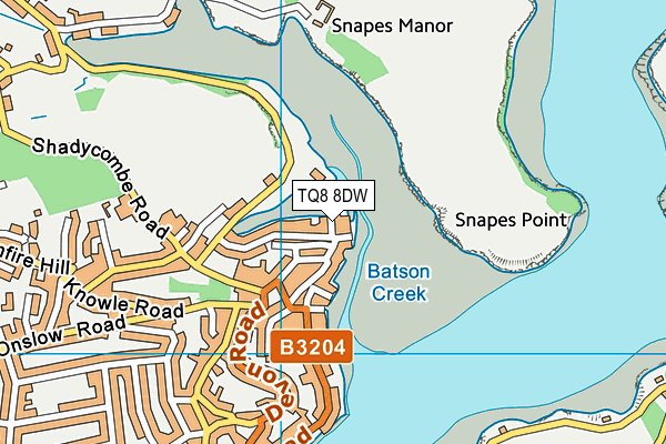 TQ8 8DW map - OS VectorMap District (Ordnance Survey)