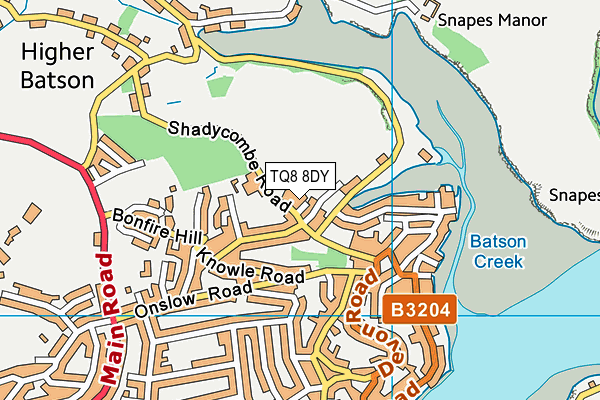 TQ8 8DY map - OS VectorMap District (Ordnance Survey)