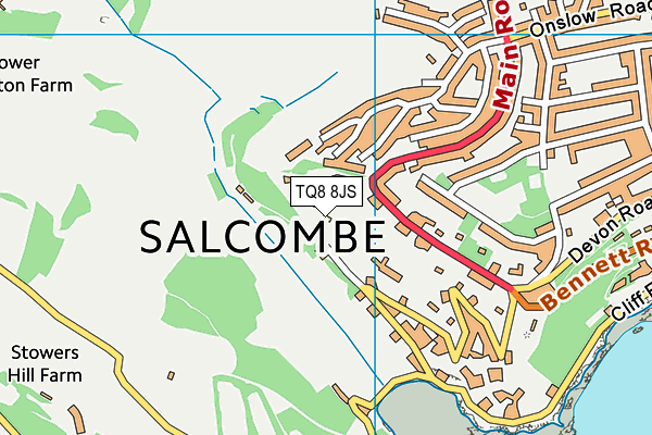 TQ8 8JS map - OS VectorMap District (Ordnance Survey)