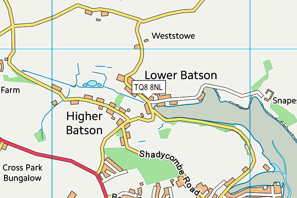 TQ8 8NL map - OS VectorMap District (Ordnance Survey)