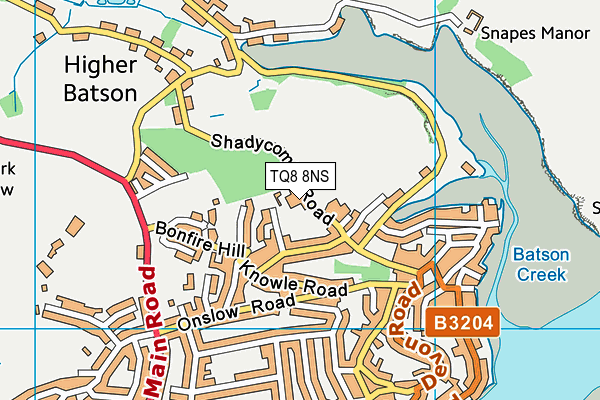 TQ8 8NS map - OS VectorMap District (Ordnance Survey)