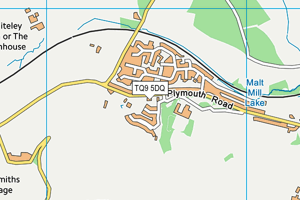 TQ9 5DQ map - OS VectorMap District (Ordnance Survey)