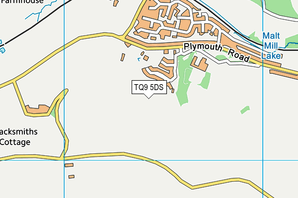 TQ9 5DS map - OS VectorMap District (Ordnance Survey)